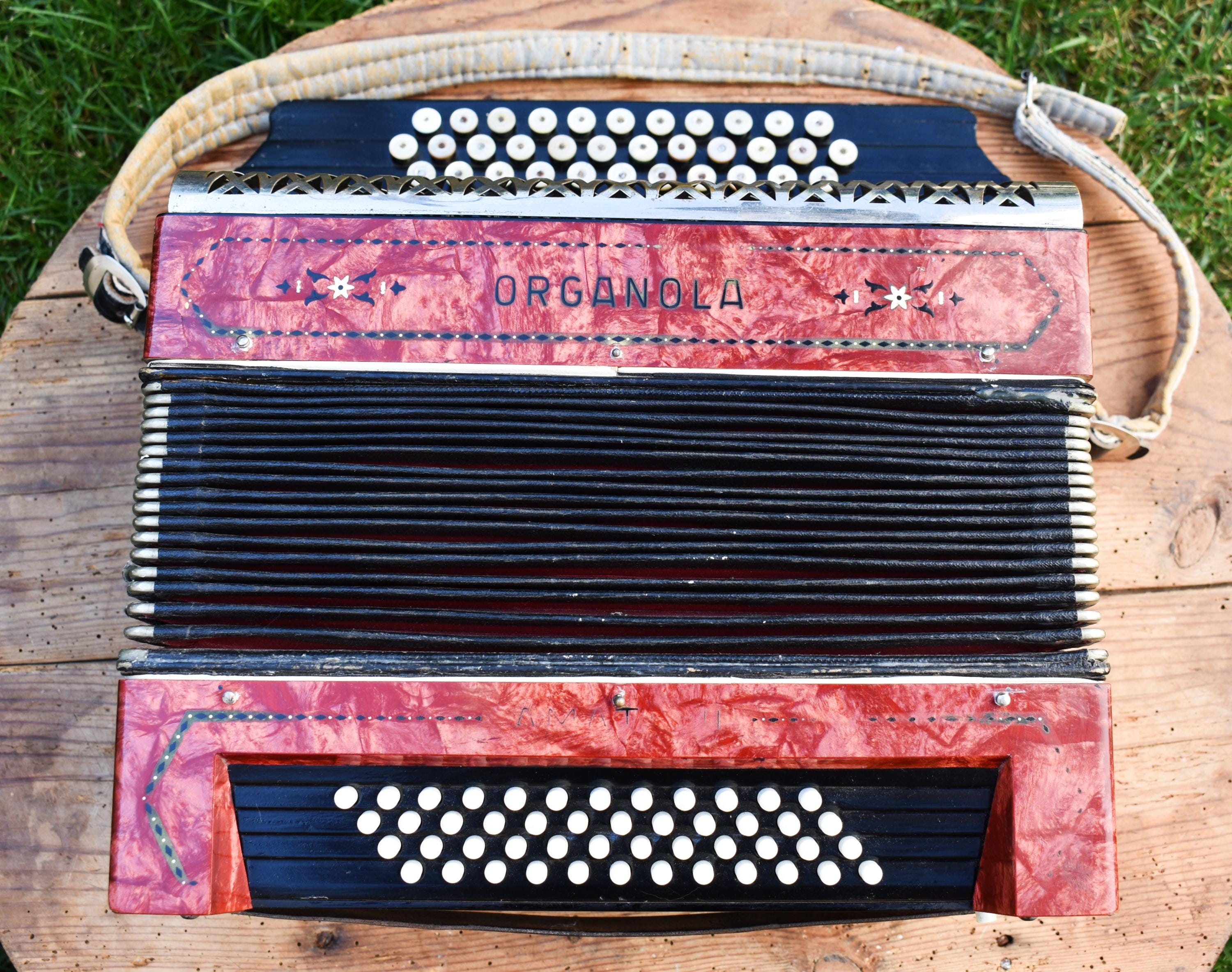 ヴィンテージ オルガノラ アコーディオン：34鍵、48ベース - Etsy 日本