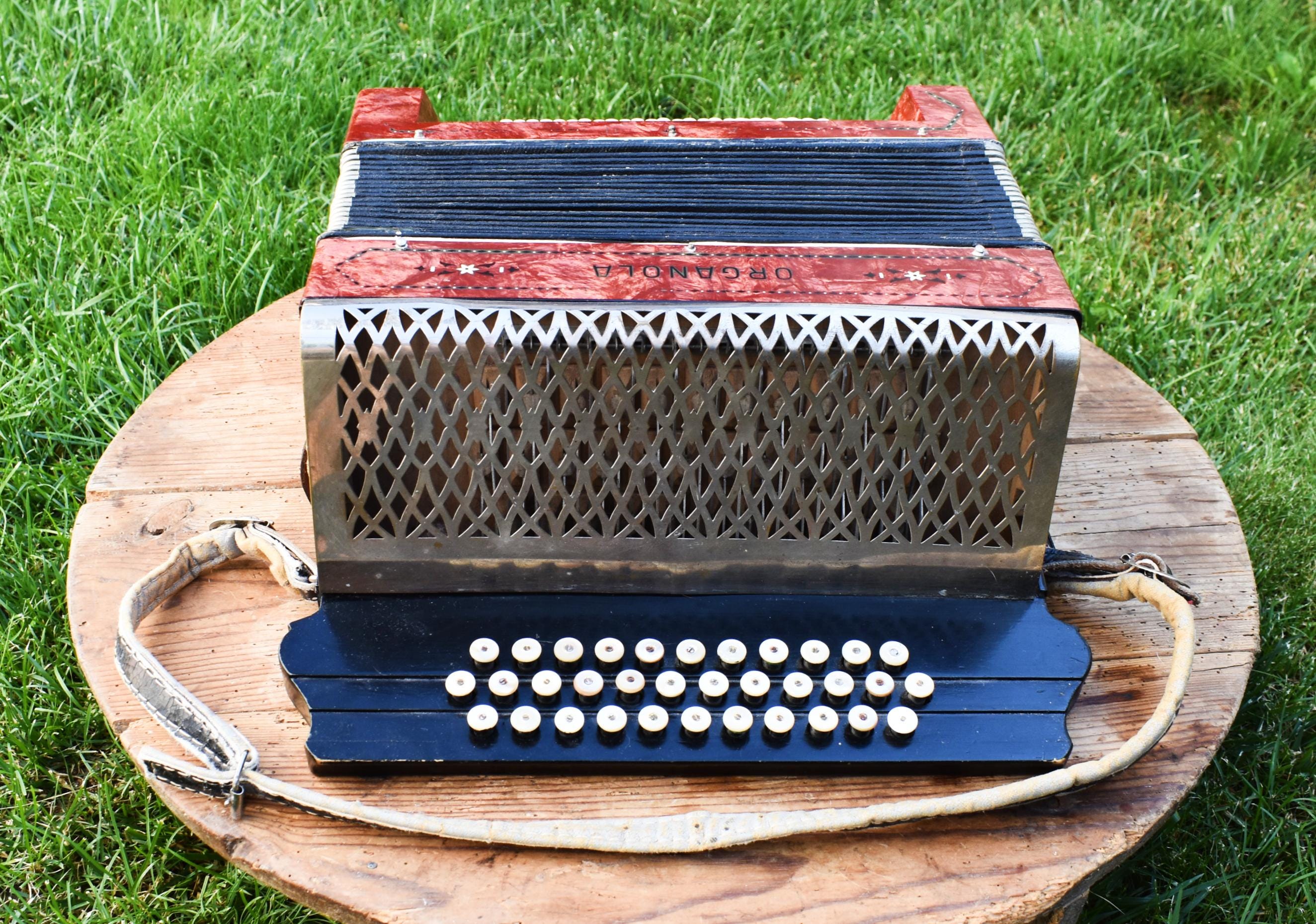 ヴィンテージ オルガノラ アコーディオン：34鍵、48ベース - Etsy 日本