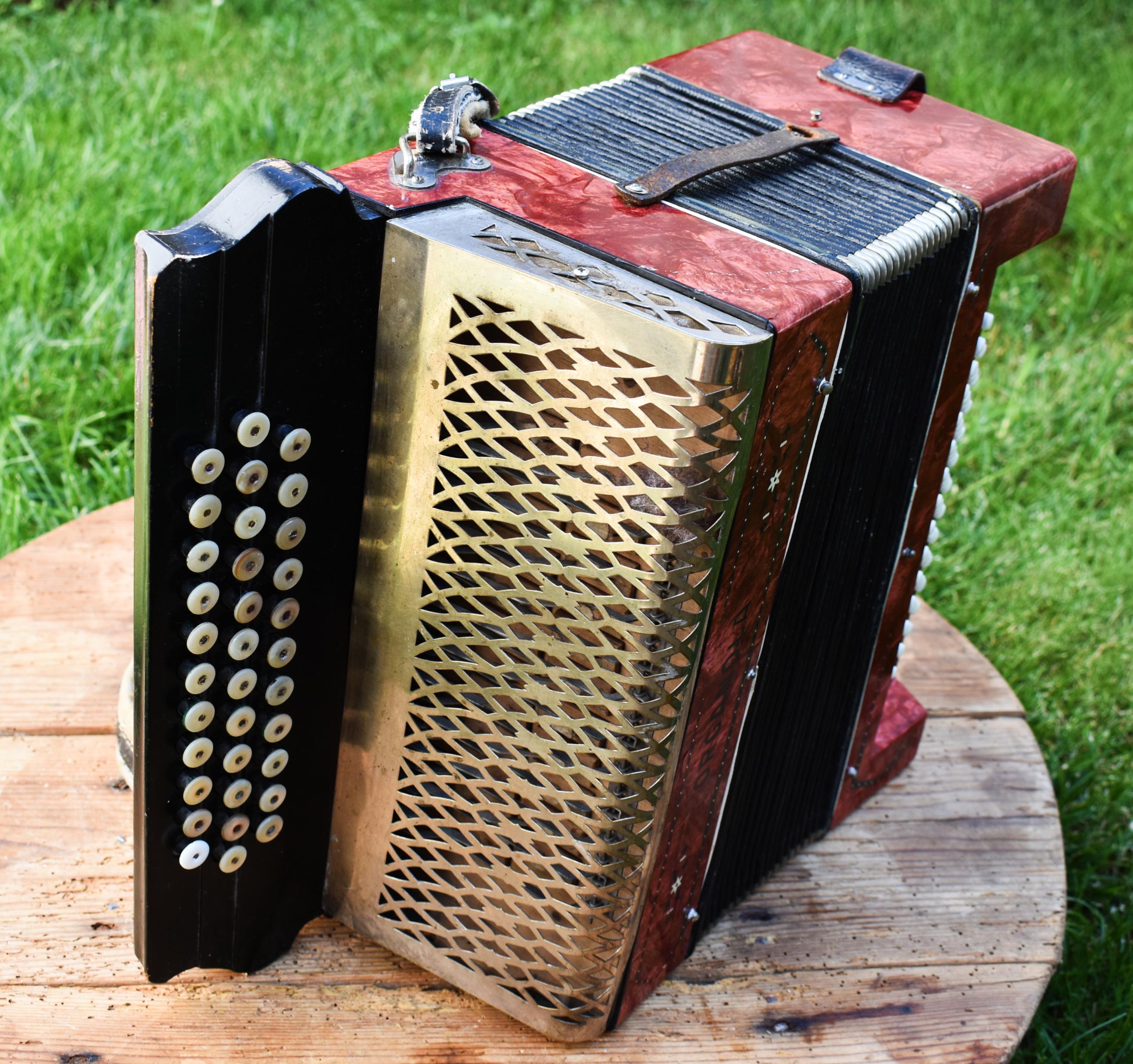 ヴィンテージ オルガノラ アコーディオン：34鍵、48ベース - Etsy 日本