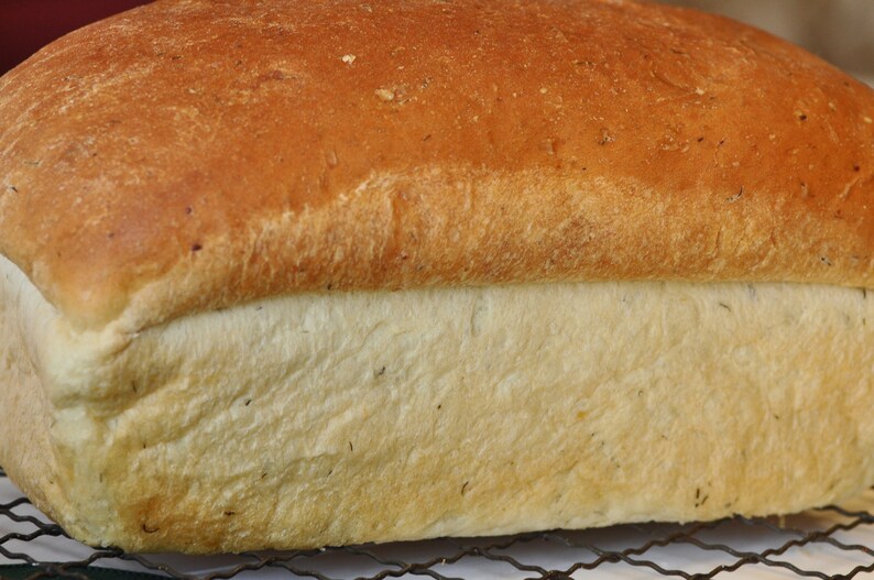 Potato Dill Bread Recipe Bread Recipes Potato Bread Recipe Etsy