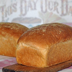Honey Cornmeal Bread Recipe, Cornmeal Bread Recipe, Bread Recipes, Digital Cornbread Recipes, Printable Bread Recipes