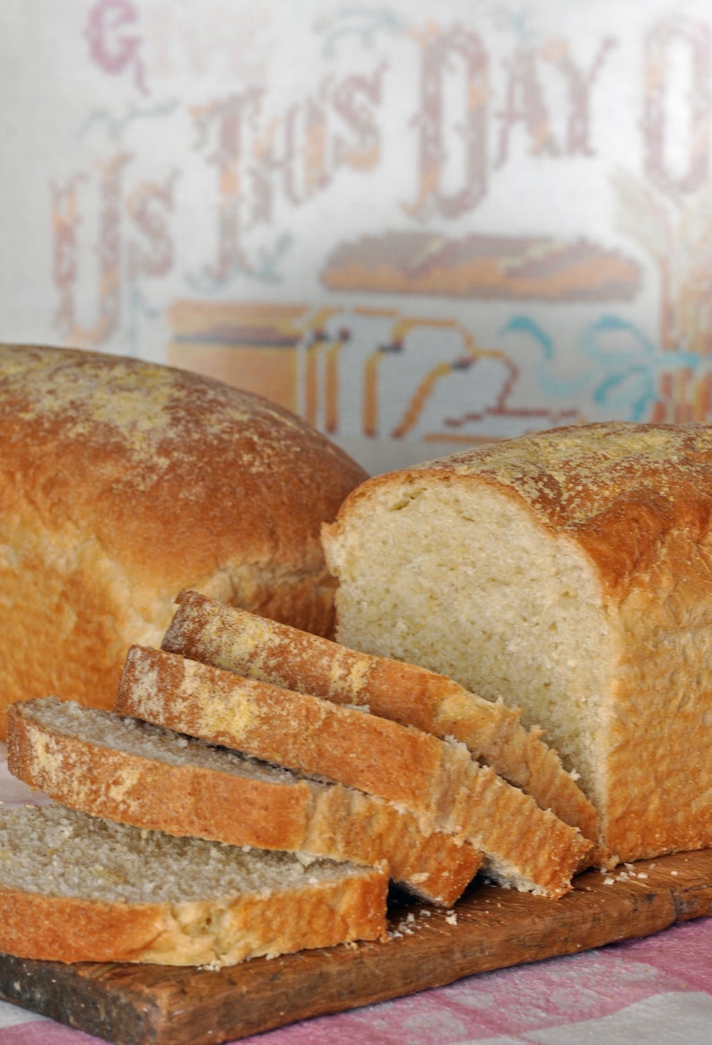 Honey Cornmeal Bread Recipe, Cornmeal Bread Recipe, Bread Recipes