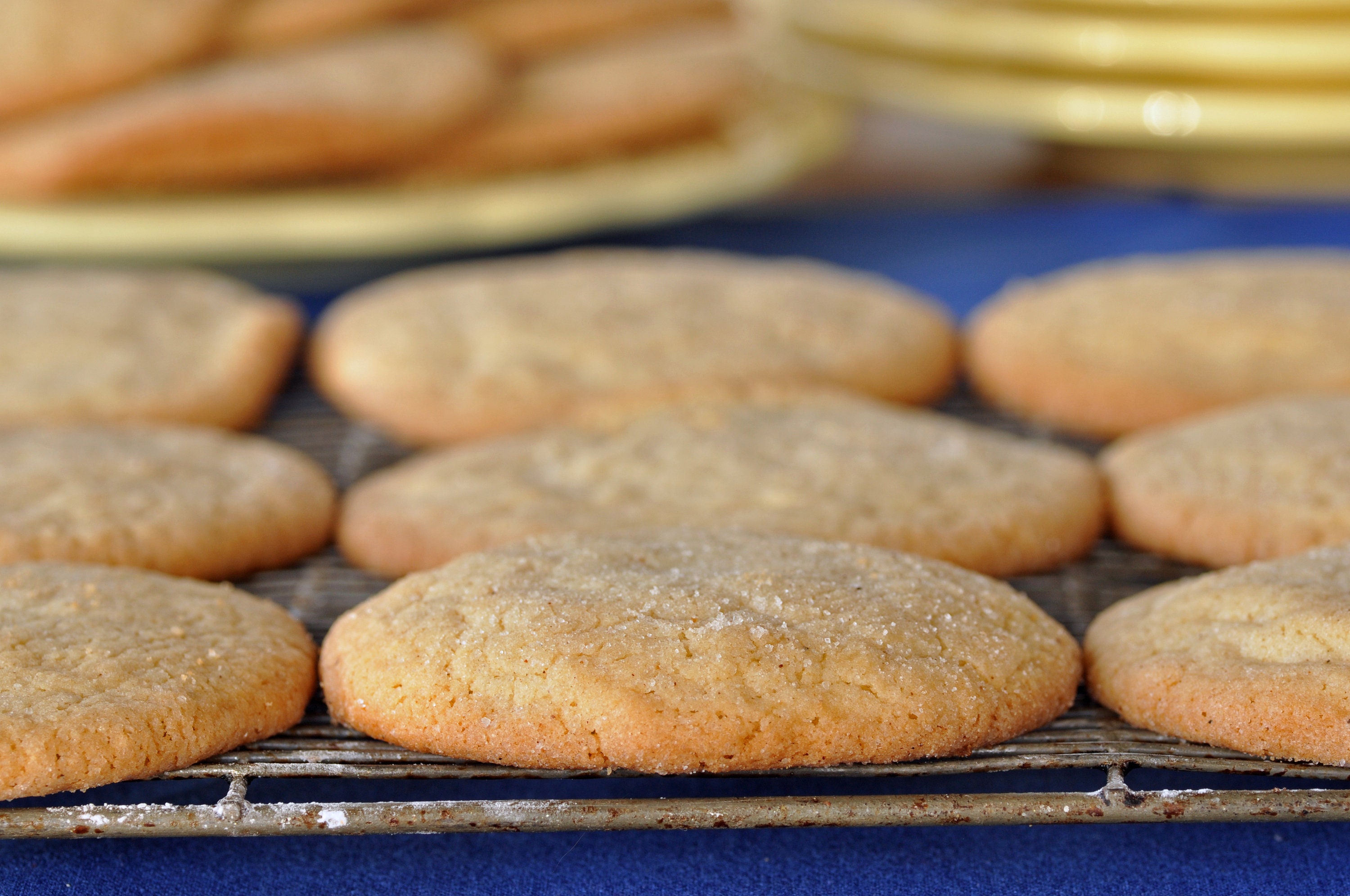 Nutmeg Sugar Cookie Recipe, Sugar Cookie Recipe, Cookie Recipes Etsy