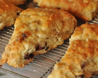 Dried Cranberry Walnut Scone Recipe, Cranberry Walnut Scone Recipe, Cranberry Scone Recipe, Scone Recipes, Bakery Recipes, Breakfast Scone