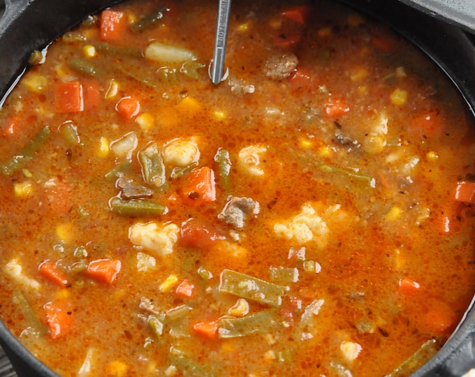 Beef and Vegetable Soup With Dumplings Recipe Beef and Etsy