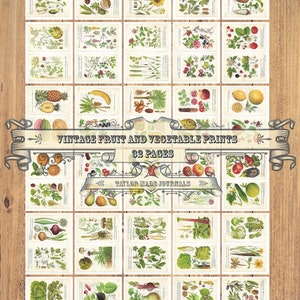 Obst & Gemüse - 32 Seite, Junk Journal Kit, digitales Journal Kit, botanisches Junk Journal Kit, botanische Drucke, Digital Kit, druckbar