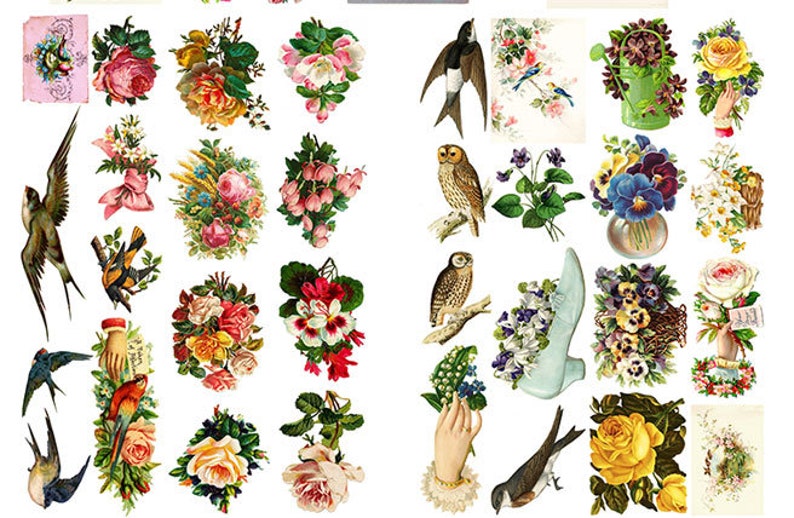 Spring Is In The Air-Vintage Birds,Nests,Eggs And Flowers Die Cut Ephemera Digital Printable Kit,160 Images-10 page Collage Kit,Fussy cut