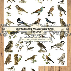 For The Birds PNG's - 35 PNG's, Junk Journal Kit, Digital Stamps, Bird Clip Art, Transparent PNG's, Nature Journal Kit,