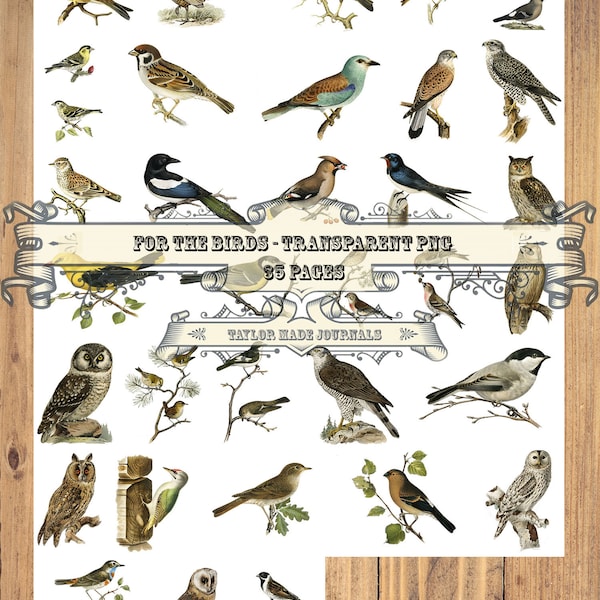 For The Birds PNG's - 35 PNG's, Junk Journal Kit, Digital Stamps, Bird Clip Art, Transparent PNG's, Nature Journal Kit,