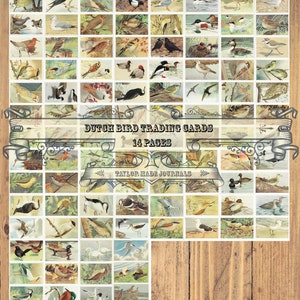 Cartões de chá de pássaros - 110 imagens, 14 páginas, kit de diário de lixo, cartões de chá de pássaros imprimíveis, kit digital, cartões de chá vintage digitais, cartões de chá