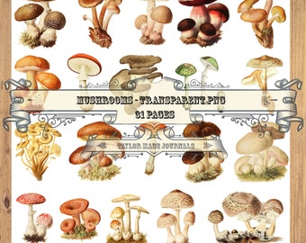 Mushrooms PNG&#39;s, Set 1 -30 ,PNG&#39;s, Junk Journal Kit, Digital Download Kit,  Mushrooms Clip Art, Transparent PNG&#39;s, Mushrooms Digital Kit