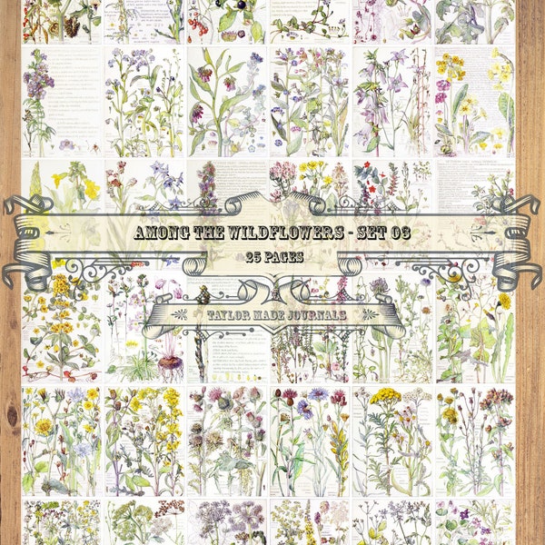 Unter den Wildblumen, Set 3 - 25 Seiten, Junk Journal Kit, Digital Kit, Natur Journal Kit, Botanische Drucke, Wildblumen zum Ausdrucken