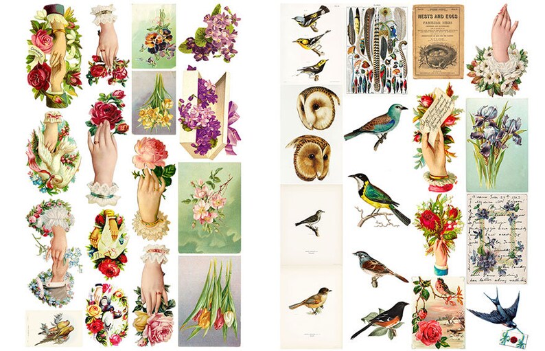 Spring Is In The Air-Vintage Birds,Nests,Eggs And Flowers Die Cut Ephemera Digital Printable Kit,160 Images-10 page Collage Kit,Fussy cut
