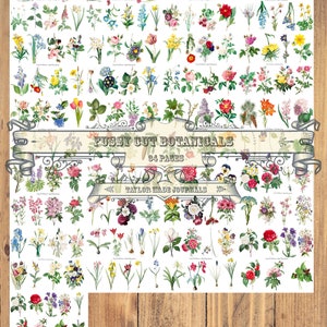 Botanique de coupe difficile, kit numérique - 34 pages, coupe difficile, clipart, kit de journal indésirable botanique, kit de journal nature, botanique, kit numérique de printemps