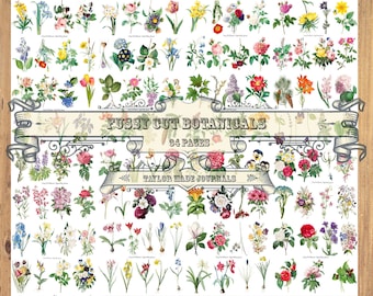 May include: A sheet of paper featuring 94 images of different flowers, each labelled with its name and botanical description. The sheet is titled "Fussy Cut Botanicals 94 Pages" and "Taylor Made Journals".