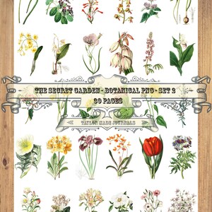 Secret Garden PNG's , Set 2 -30, PNG's, Junk Journal Kit, Timbres numériques, Digital Nature Journal Kit, Transparent PNG's, Botanique