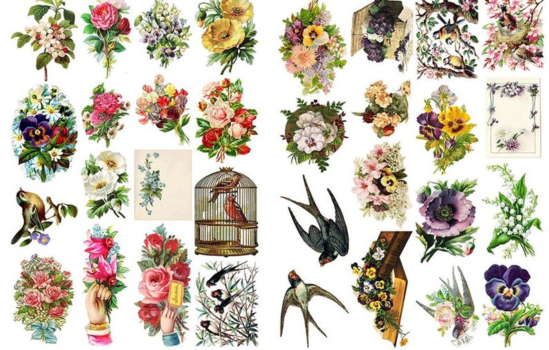 Spring Is In The Air-Vintage Birds,Nests,Eggs And Flowers Die Cut Ephemera Digital Printable Kit,160 Images-10 page Collage Kit,Fussy cut