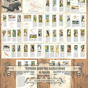Cartões de chá de pássaros-10 páginas, digital, kit de diário lixo, cartões de chá vintage, cartões de chá imprimíveis, kit digital, cartões de chá de pássaros