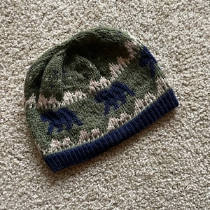 May include: A green and navy blue knitted beanie with a pattern of bears and mountains.
