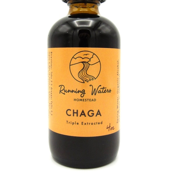 Triple Extracted Chaga Mushroom Tincture