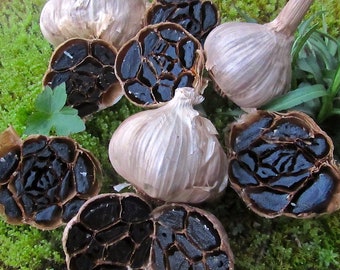 3 Black Garlic Heads (fermented for eating..not planting)