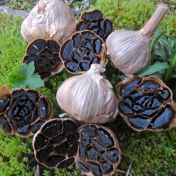 3 Black Garlic Heads (fermented for eating..not planting)