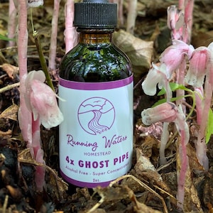 4x Ghost Pipe Extract- Alcohol Free