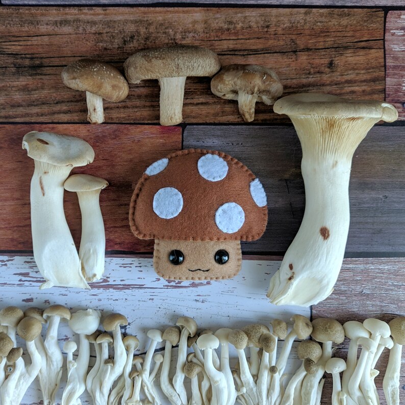 Kawaii plush mushroom / Plush food / Plushies / Cute gifts / Etsy
