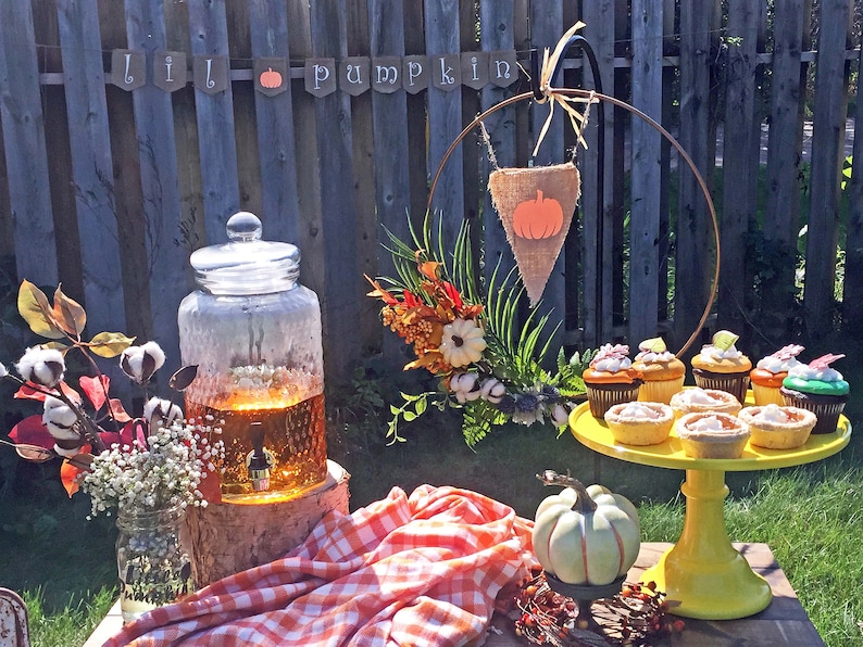 Baby Shower Decor Lil Pumpkin Little Pumpkin Baby Shower Burlap Banner Fall Baby Shower Decoration