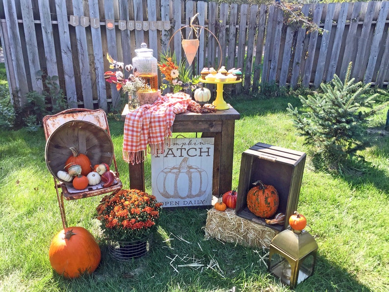 Baby Shower Decor Lil Pumpkin Little Pumpkin Baby Shower Burlap Banner Fall Baby Shower Decoration