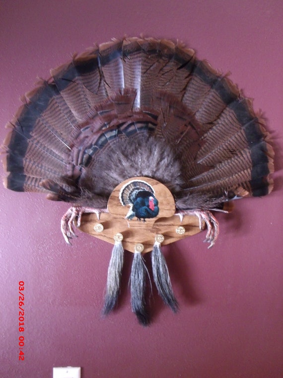 A.M.M. Red Oak Turkey Fan/Beard Mounting Plaques/Kits Etsy