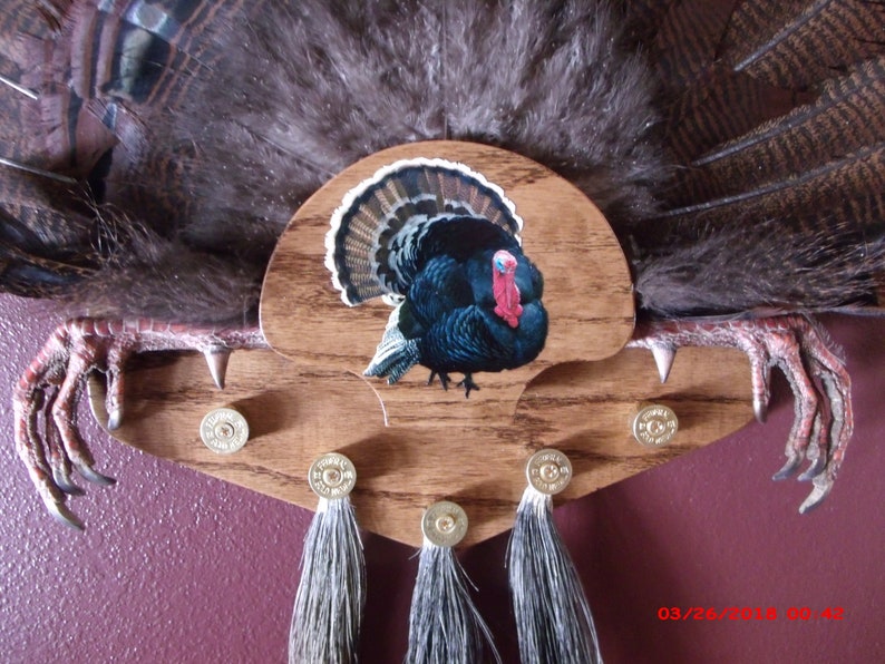 A.M.M. Oak Turkey Fan/beard Mounting Plaques/kits STRUTTING TOM Etsy