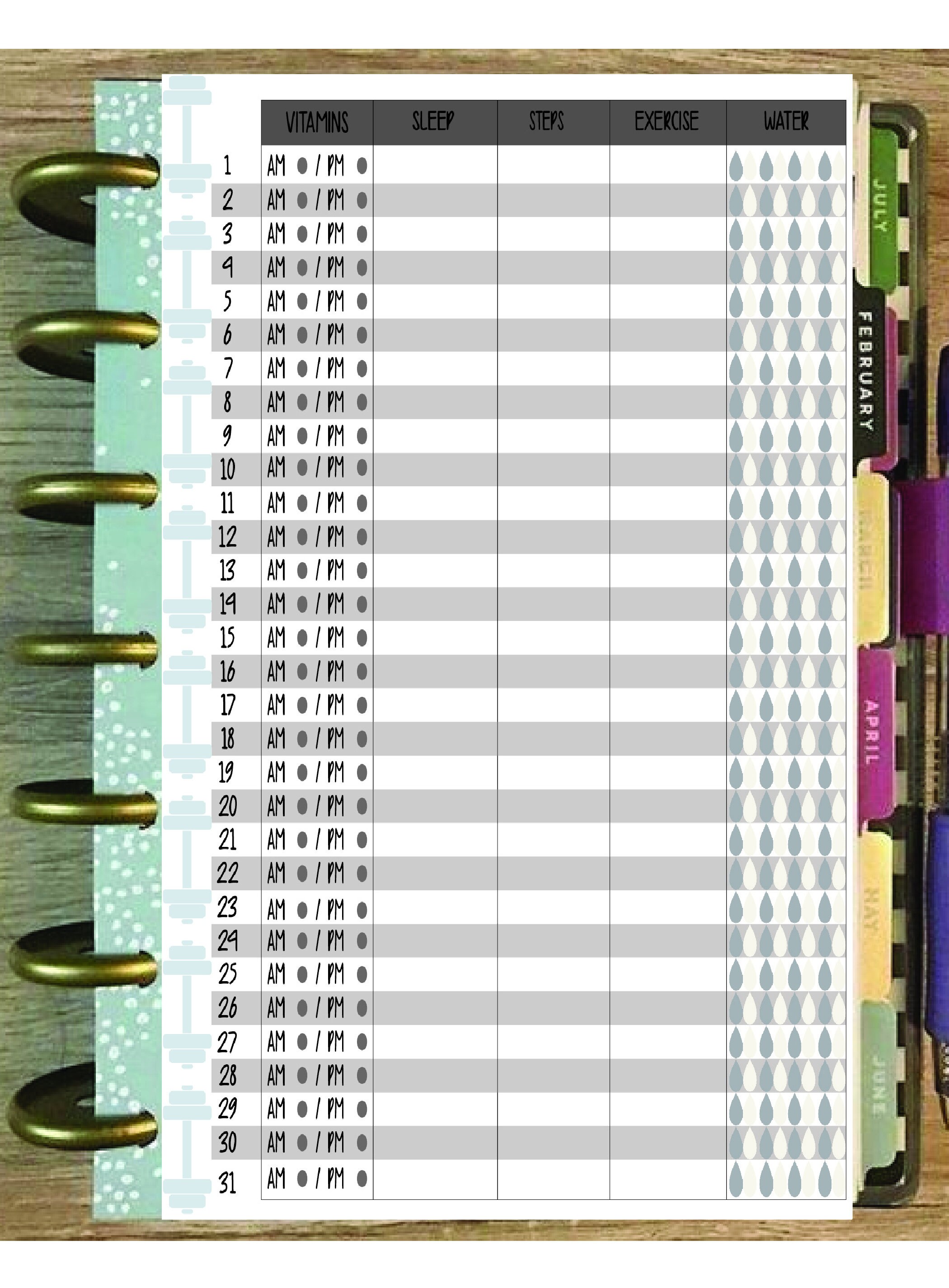 Happy Planner Printable Mini Size Fitness Planner | Etsy