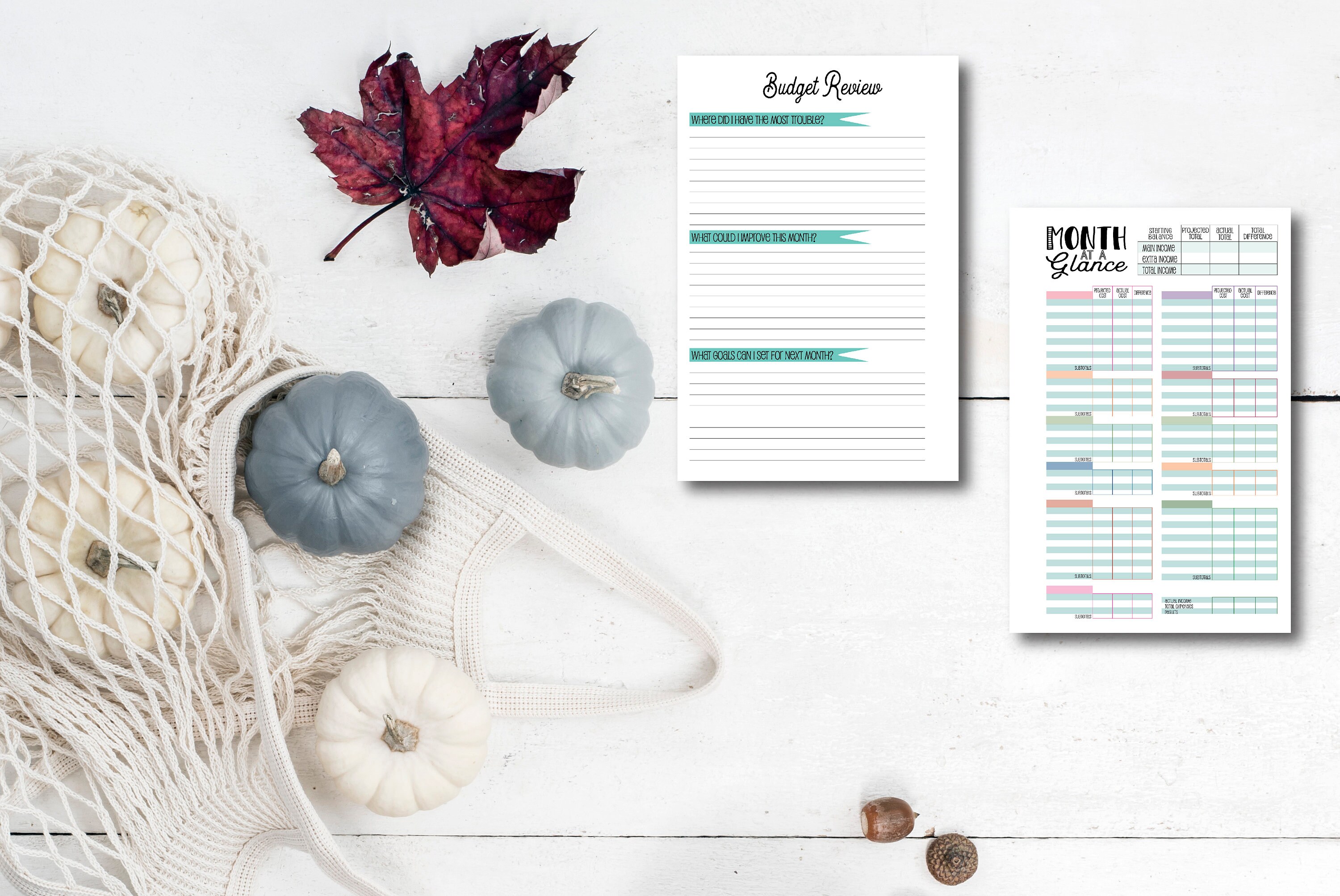 Happy Planner Mini Size Budget Review Unlabeled - Etsy