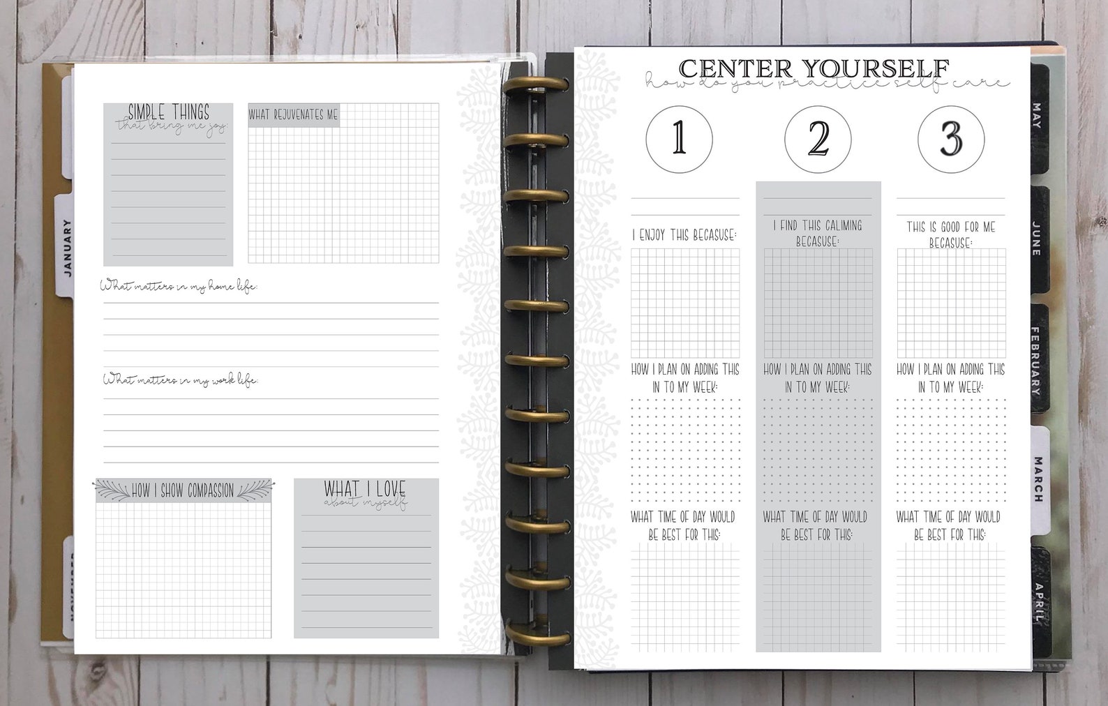 Buy Happy Planner Printable BIG Size Wellness Full Expansion Online in ...