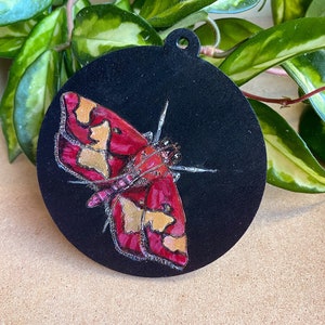 Maroon and Gold Moth on Black wooden ornament / wall-hanging image 4