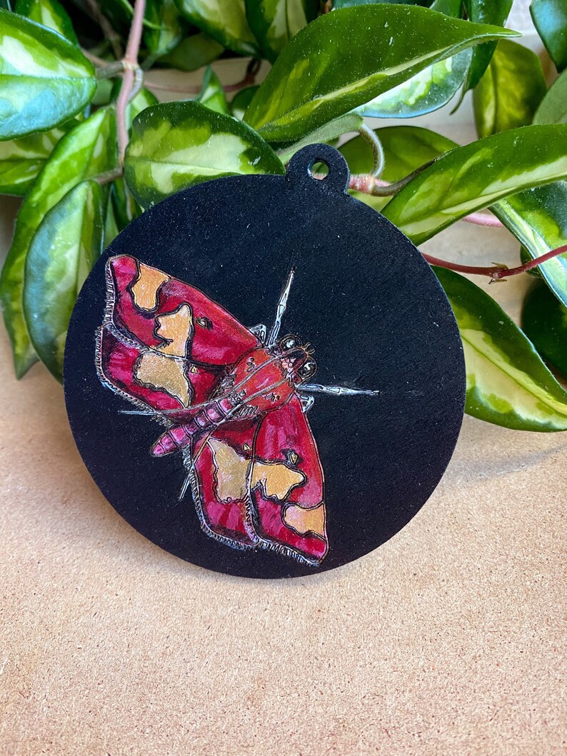 Maroon and Gold Moth on Black wooden ornament / wall-hanging image 4