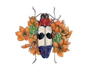 Jewel Beetle with Orange Blossoms Giclée Print