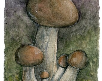 Mushrooms at Dusk | Art Print from Original Watercolor Painting