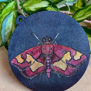 Maroon and Gold Moth on Black wooden ornament / wall-hanging image 2