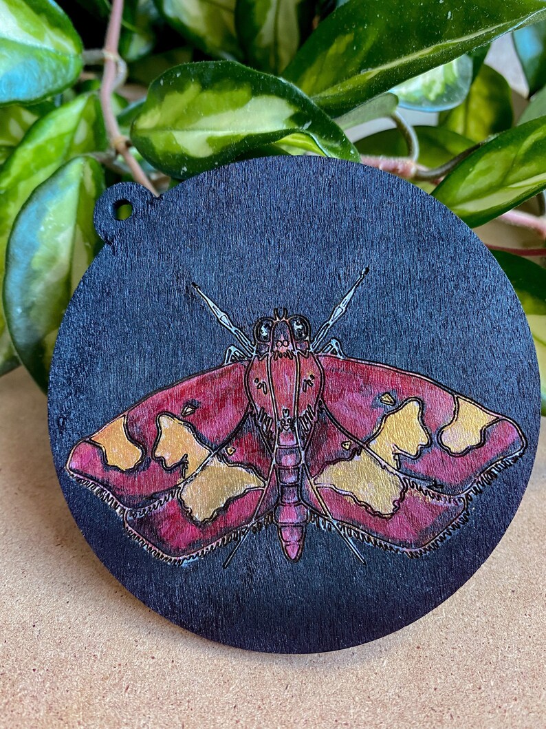 Maroon and Gold Moth on Black wooden ornament / wall-hanging image 2