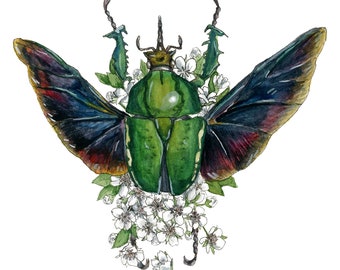 African Beetle with White Blossoms Giclee Print