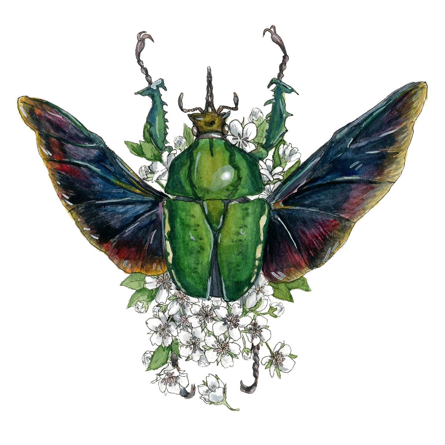 African Beetle With White Blossoms Giclee Print Etsy