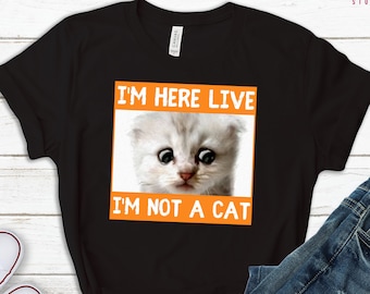 I’m not a cat I'm here live, Viral Meme Zoom Cat Lawyer Judge shirt, Cat Hoodie, Cat Filter Sweatshirt, I am not a cat, Im not a cat