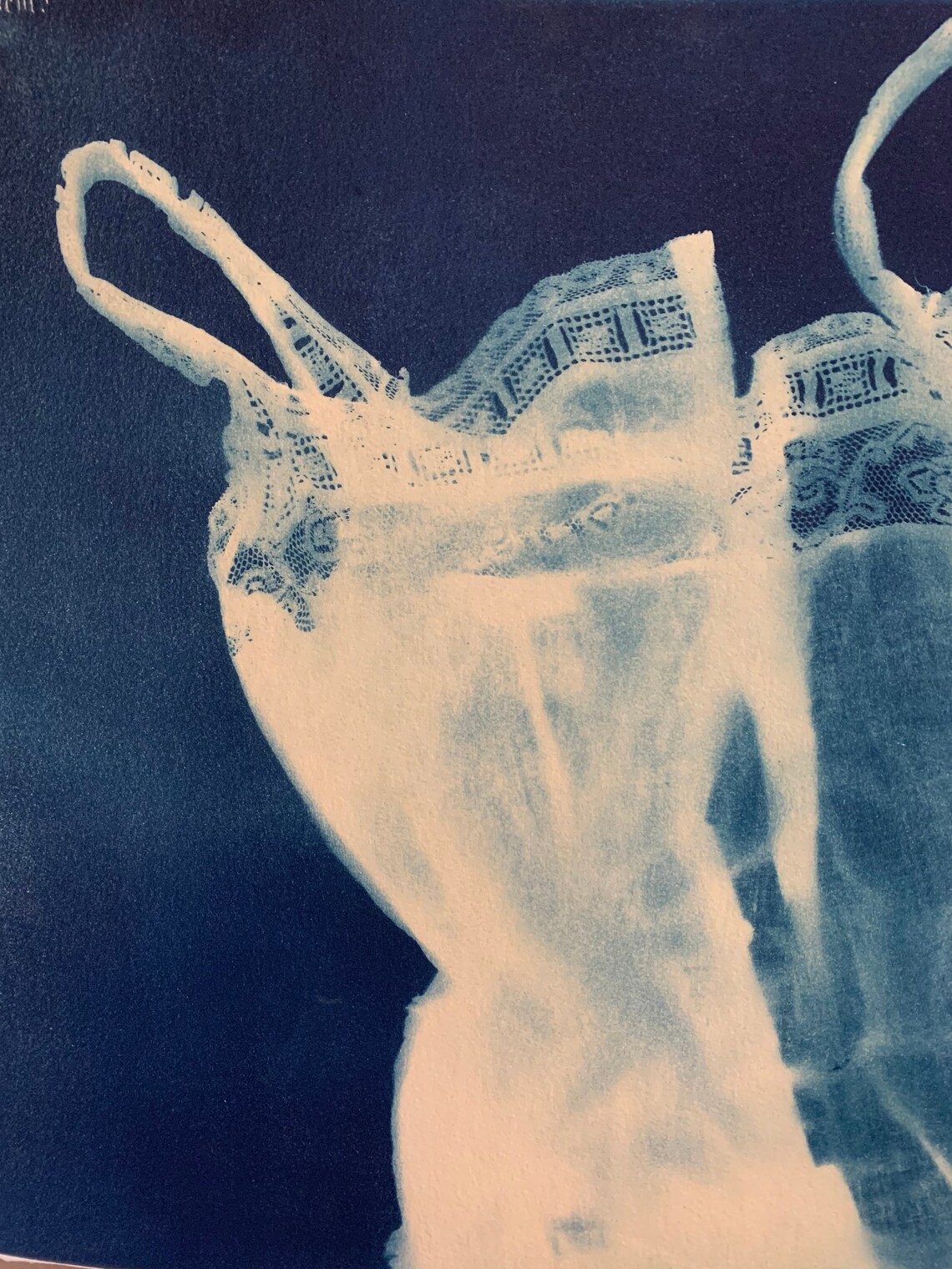 Cyanotype print of vintage clothing Etsy