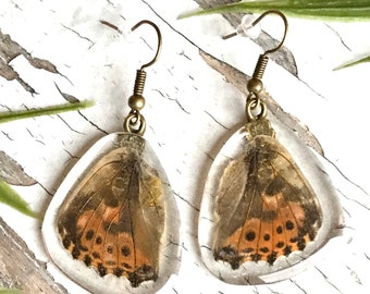 Real Butterfly Wing Earrings Happiness Charm Miracle Unique Resin Natural Jewelry Handcraft Asian Insect Taxidermy Gypsy Bohemian Dreamer #3