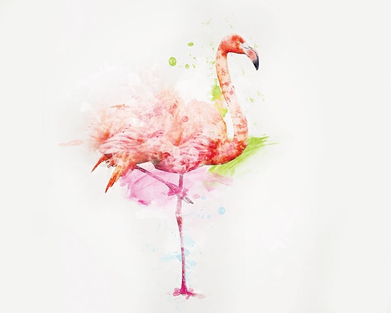 13+ Best Flamingo prints wall art images info