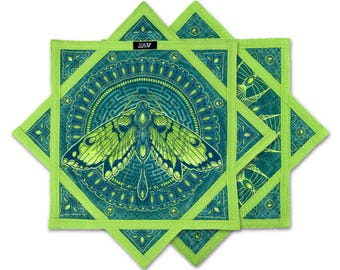 Polilla Luna - UV - Estrella de Flujo
