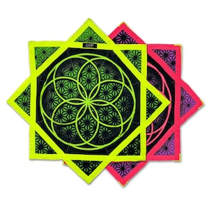 Flower of Life - UV-groen/roze - Flow Star