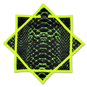 Neon Serpent - UV - Flow Star